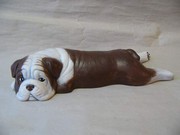 Pes bulldog hnědý-P